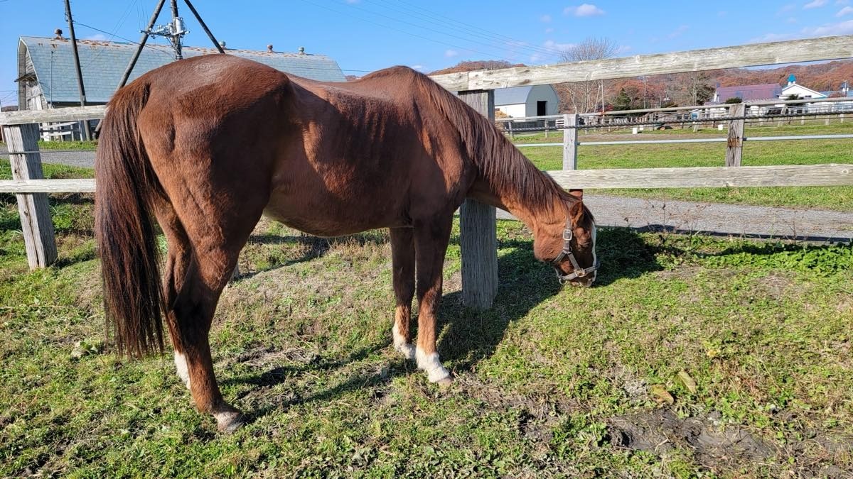 e32f9a2282ee9fbc0d4db95b9f13f1ec-1763313545.jpg e32f9a2282ee9fbc0d4db95b9f13f1ec-1763313545.jpg